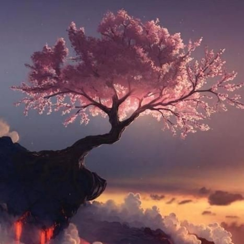 Meet your Posher, Mikayla